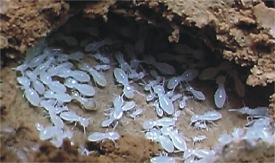 1665294540240762.png 123.png