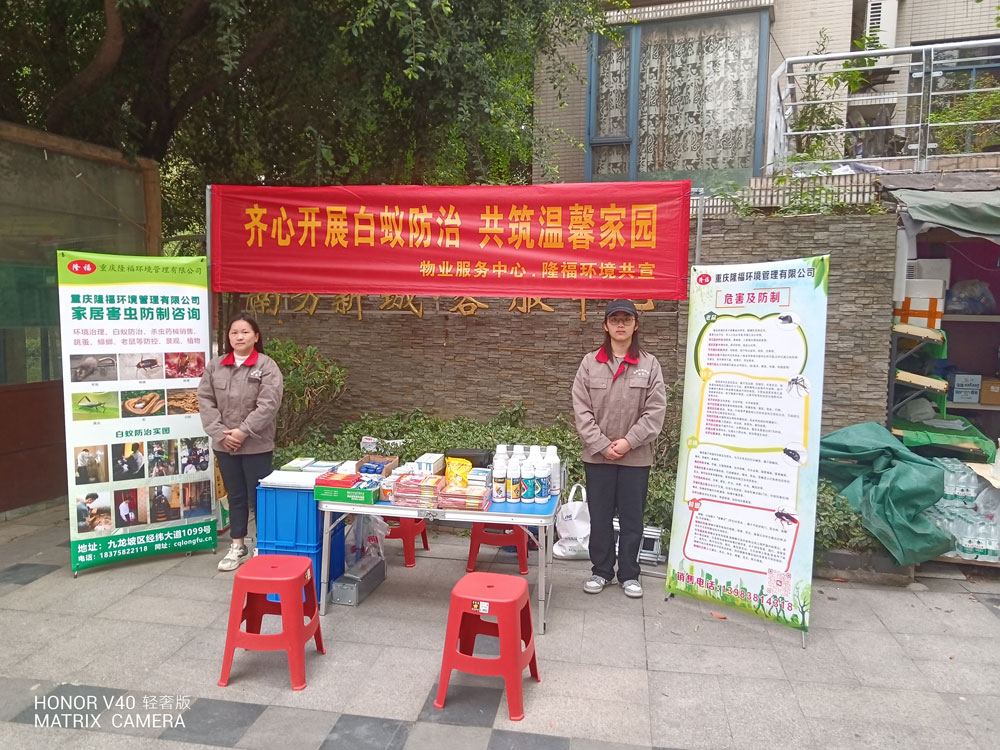 1744961090540750.jpg 01.jpg