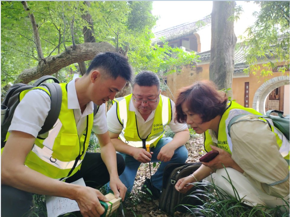 1748510242702658.png 1748509833213.png