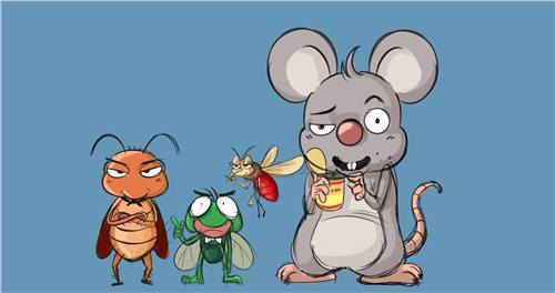 重慶滅白蟻 房屋裝修前最好做好白蟻預(yù)防處理